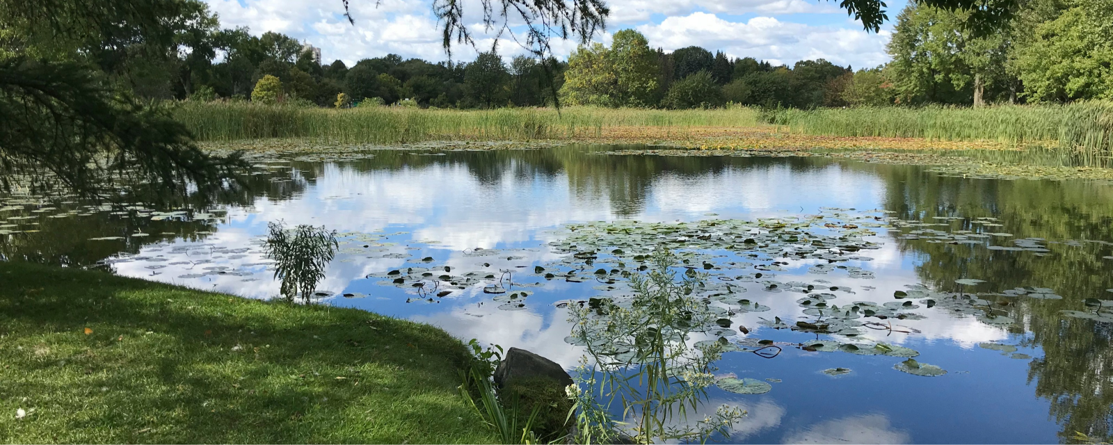 Große Wasserfläche im Grünen