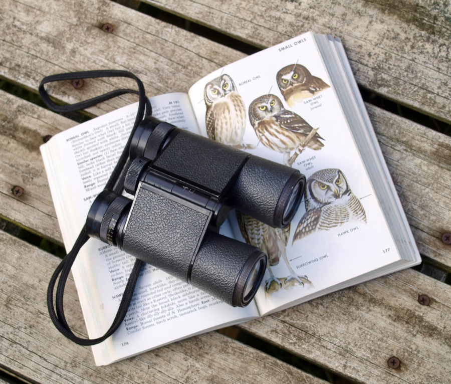 Ein Fernglas liegt auf einem aufgeschlagenen Vogelkundebuch.