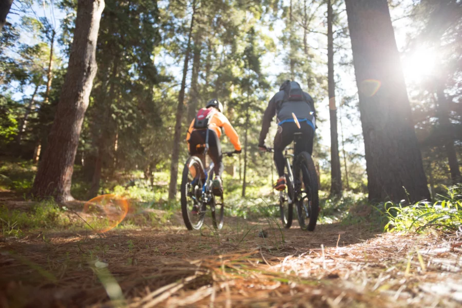 Zwei Radfahrende im Wald.