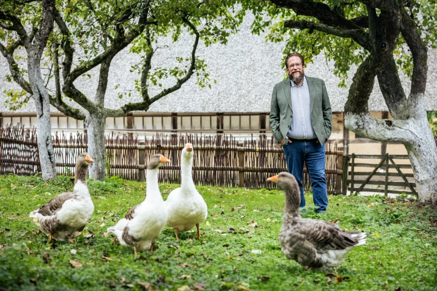 Stefan Zimmermann auf einer Wiese, vor ihm eine Gruppe Gänse